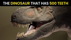 What Dinosaur Has 500 Teeth?