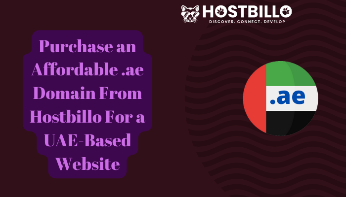 Purchase an Affordable .ae Domain From Hostbillo For a UAE-Based Website