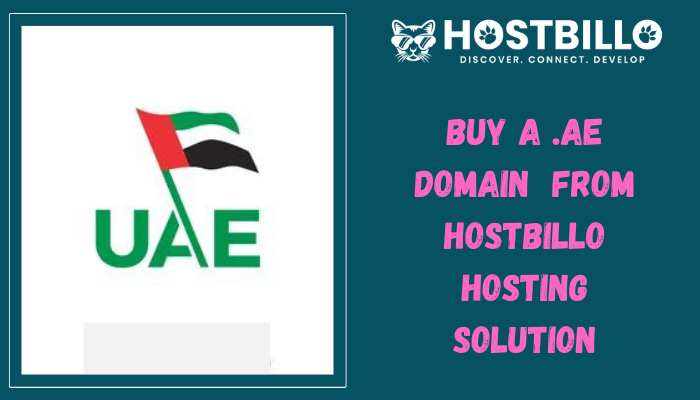 Buy a .ae Domain  From Hostbillo Hosting Solution