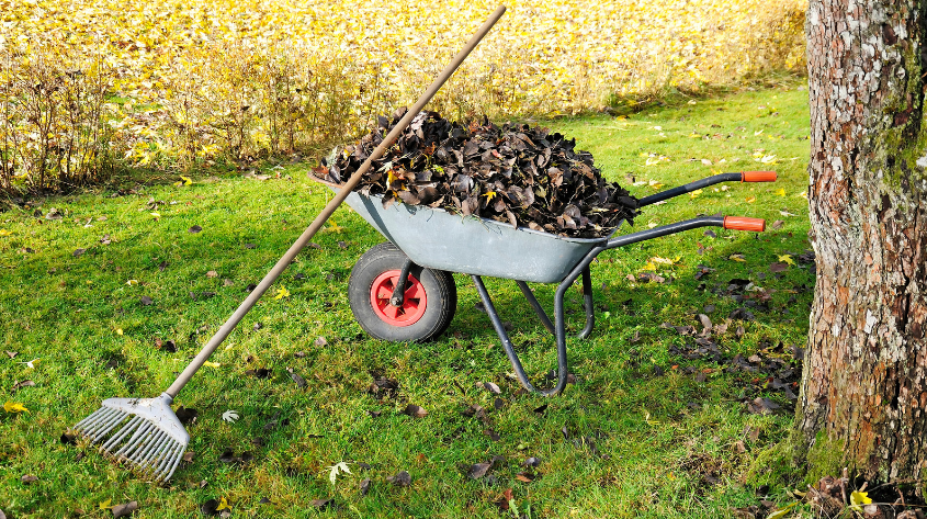 Garden Clearance Walthamstow