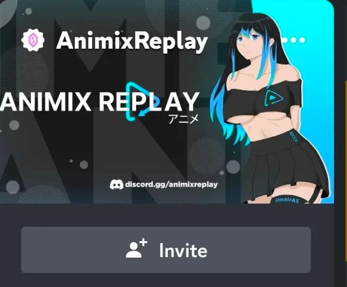 AnimixReplay
