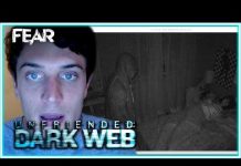 Who is the owner of the dark web? owner of the dark web