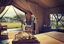 Unveiling Kenya’s Gems: An Overview of the Best Safari Camps